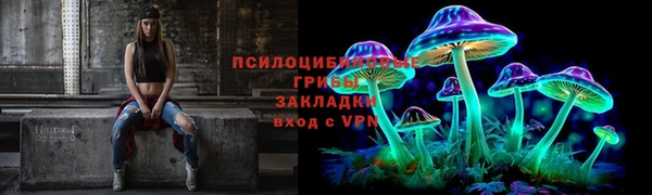 spice Алексин