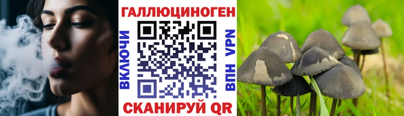 Псилоцибиновые грибы Cubensis  где продают   Фурманов 